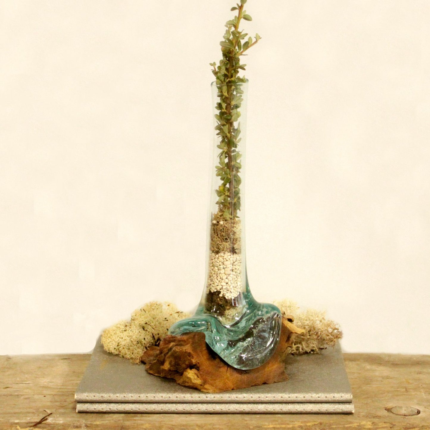 Photo 7 of Molten Glass On Wood - Vase Luxury Decor Premium Edition featuring authentic premium craftsmanship.
