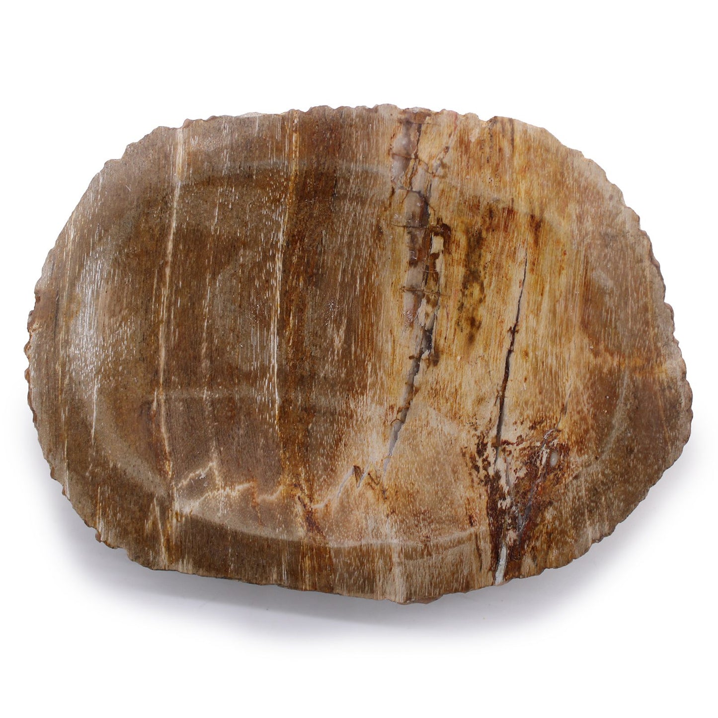 Petrified Wood Brown Soap Dish from our luxury stone soap dishes collection