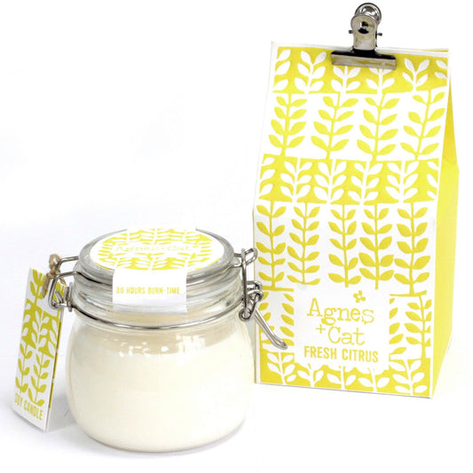 Luxury presentation of the agnes cat kilner jar candle fresh citrus476 showing the premium artisan packaging and complete set contents