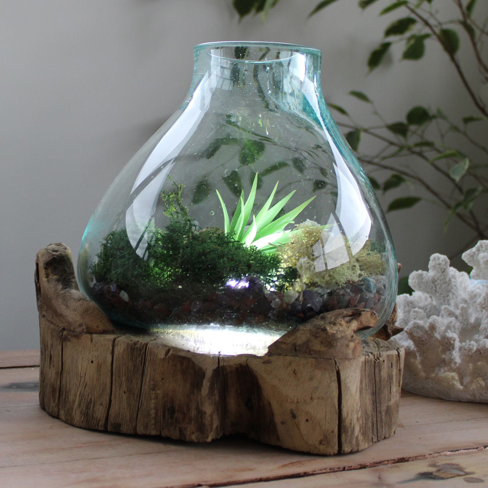 Photo 9 of Molten Glass Large Fish Tank 3.7 Litre Luxury Decor featuring authentic premium craftsmanship.