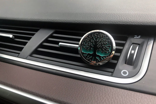 Car Diffuser Kit - Dragonfly - 30mm from our luxury aromatherapy car diffuser kits collection