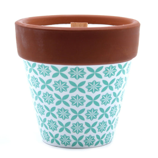 Luxury presentation of the agnes cat herb garden candles rosemary593 showing the premium artisan packaging and complete set contents