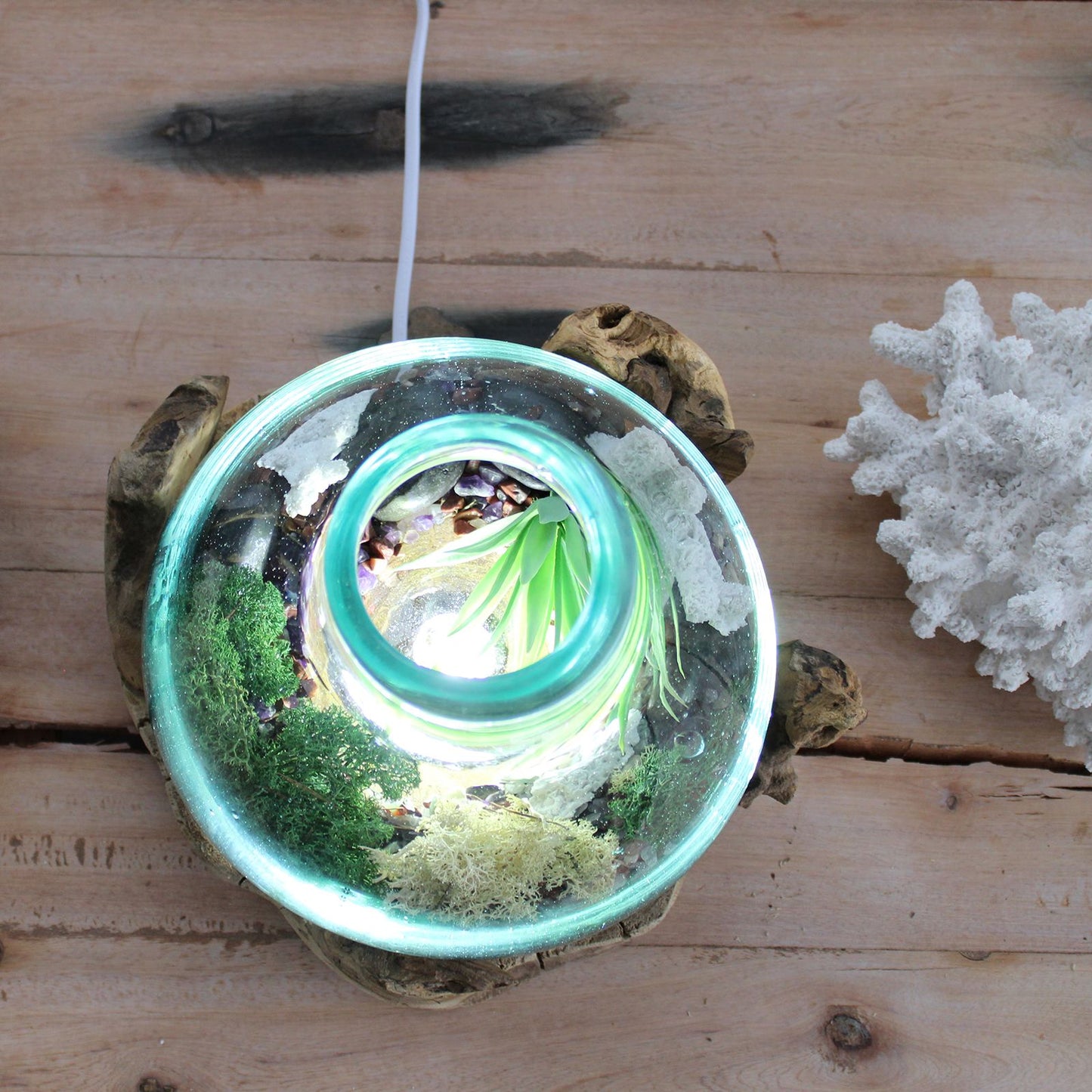 Photo 11 of Molten Glass Large Fish Tank 3.7 Litre Luxury Decor featuring authentic premium craftsmanship.