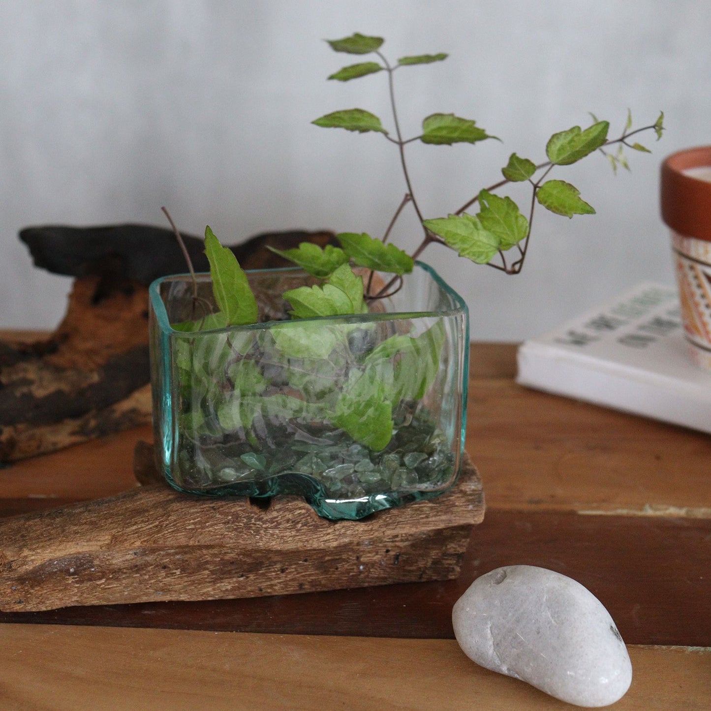 Photo 7 of Molten Glass Tank On Wood With Stand - Medium Bowl featuring authentic premium craftsmanship.