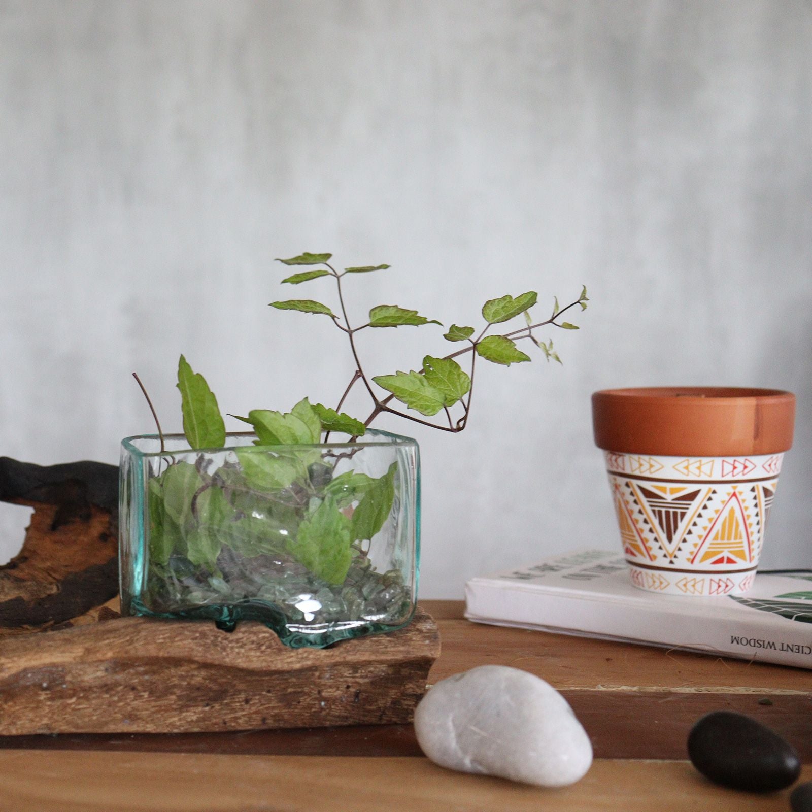 Photo 6 of Molten Glass Tank On Wood With Stand - Medium Bowl featuring authentic premium craftsmanship.