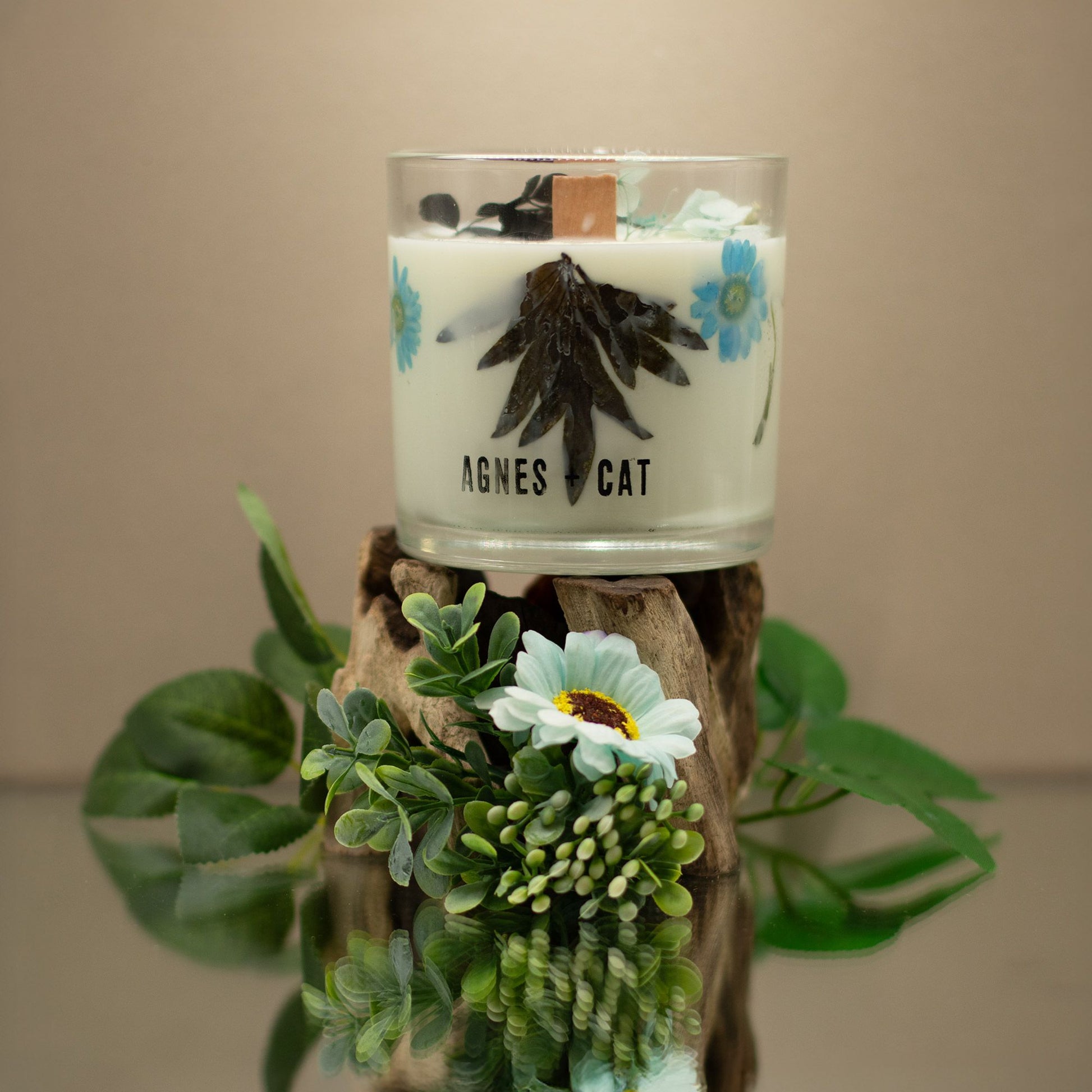 Detailed close up view highlighting the high quality craftsmanship and individual features of the agnes cat botanical soy wax candle seasalt moss559