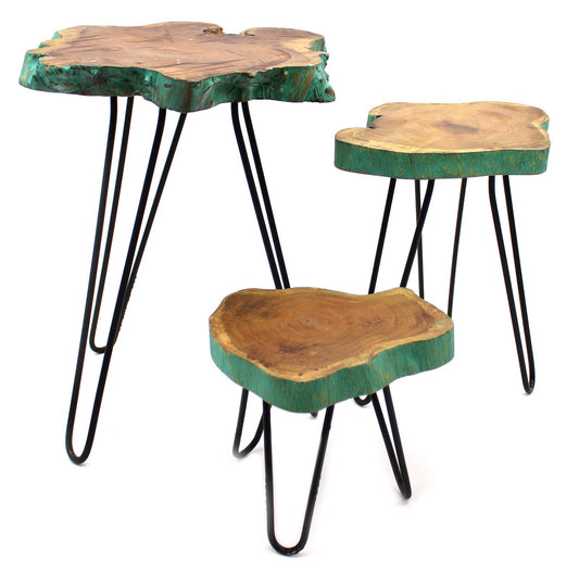 Set of 3 Gamal Wood Plant Stands - Greenwash lifestyle product photo on neutral background