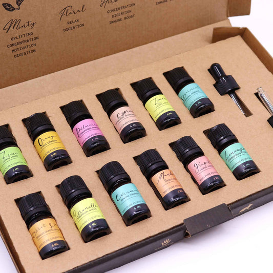Aromatherapy Essential Oil Set - Summer lifestyle product photo on neutral background