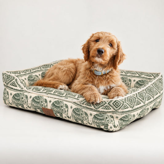 PAW Lucky Elephant Patterned Pet Bed – Green – 60 × 50 × 14cmcm