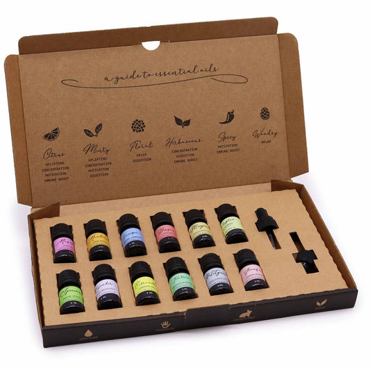 Aromatherapy Essential Oil Set - Spring lifestyle product photo on neutral background