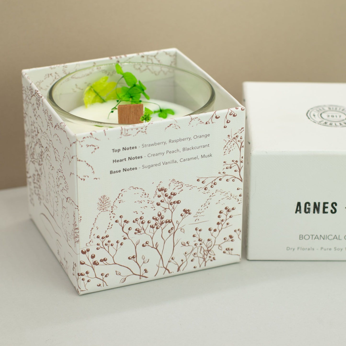 Detailed close up view highlighting the high quality craftsmanship and individual features of the agnes cat botanical soy wax candle fellberry578