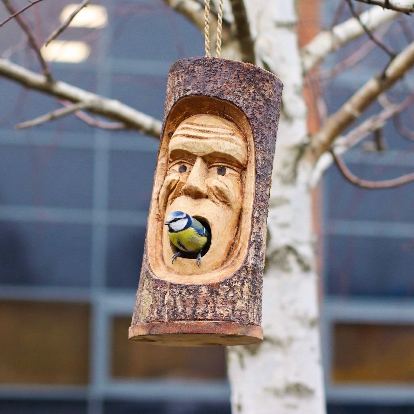 Tree Trunk Face - Bird House - Grumpy Old Man from our luxury seagrass bird houses collection