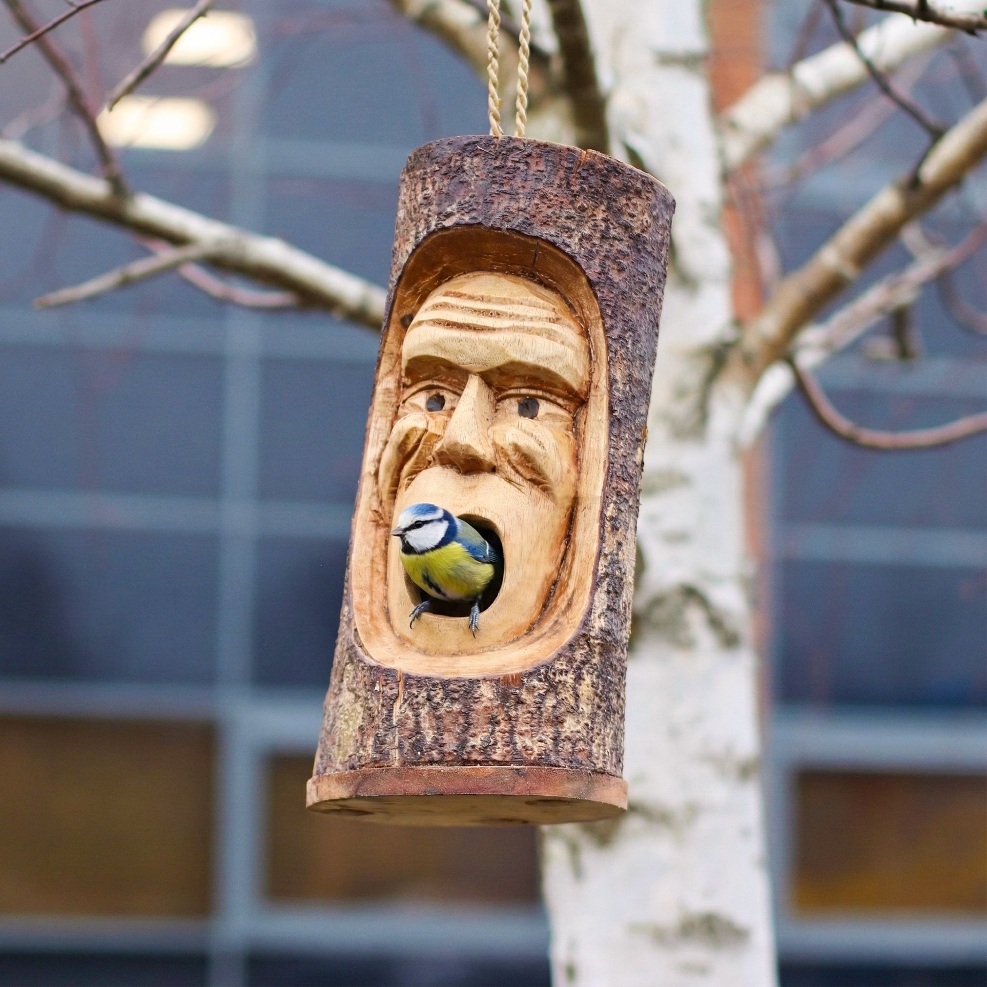 Tree Trunk Face - Bird House - Grumpy Old Man from our luxury seagrass bird houses collection