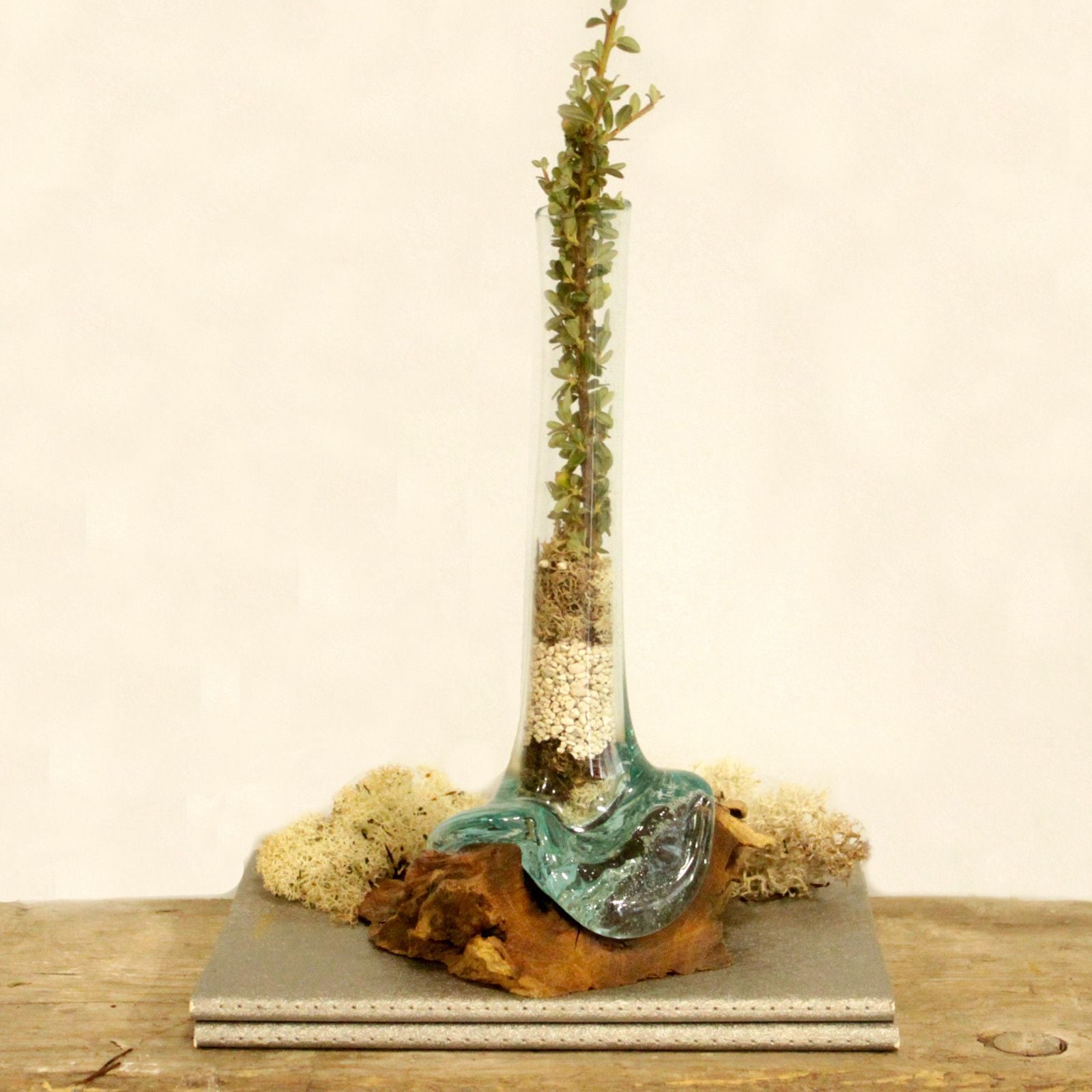 Photo 7 of Molten Glass On Wood - Vase Luxury Decor Premium Edition featuring authentic premium craftsmanship.