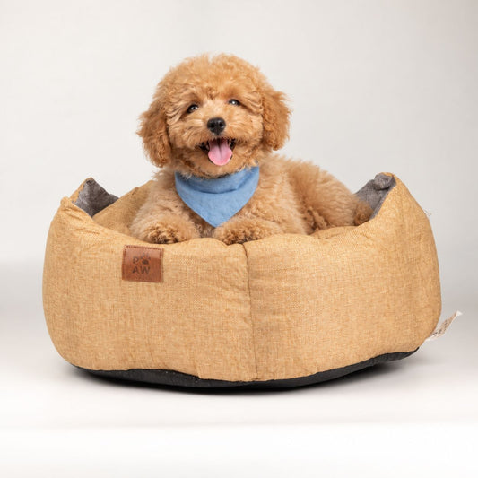 PAW Royal Crown Pet Bed – Sand & Grey – Medium – 50 × 50 × 26cmcm