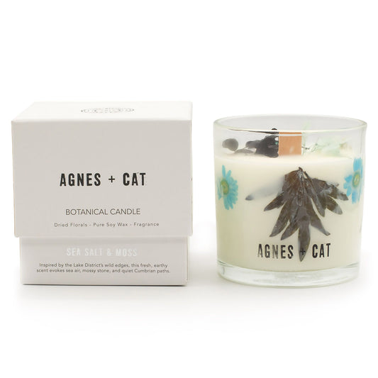 Luxury presentation of the agnes cat botanical soy wax candle seasalt moss559 showing the premium artisan packaging and complete set contents