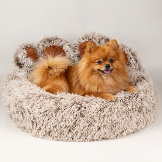 PAW Plush Paw-Shaped Pet Bed – Medium – 60cmcm