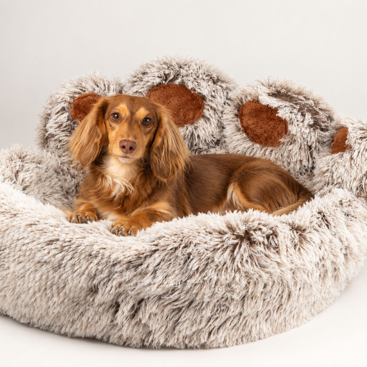 PAW Plush Paw-Shaped Pet Bed – Large – 70cmcm