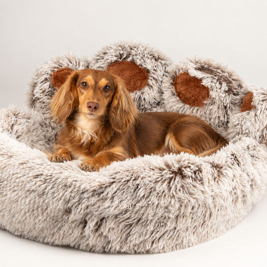 PAW Plush Paw-Shaped Pet Bed – Large – 70cmcm