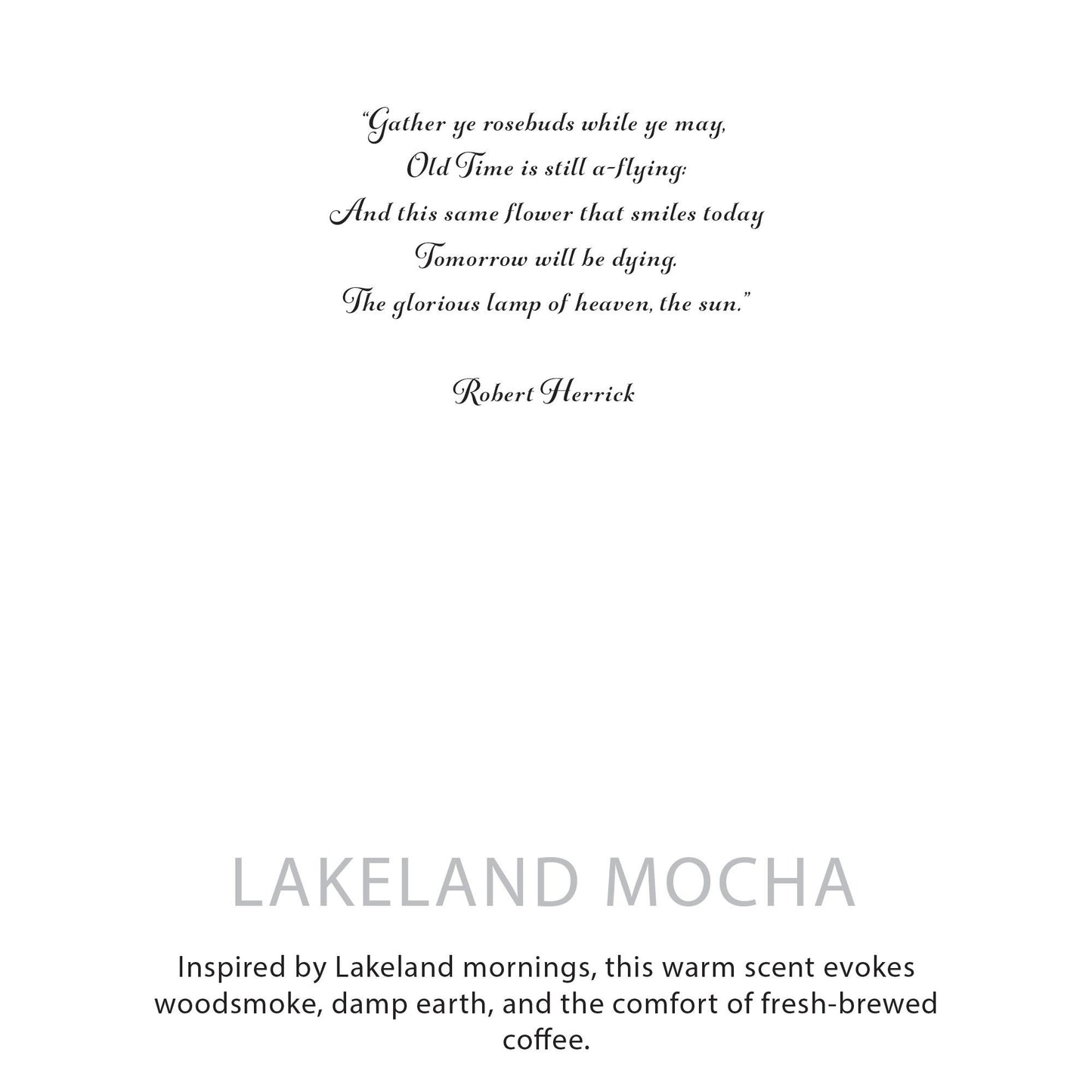 Detailed close up view highlighting the high quality craftsmanship and individual features of the agnes cat botanical soy wax candle lakeland mocha571