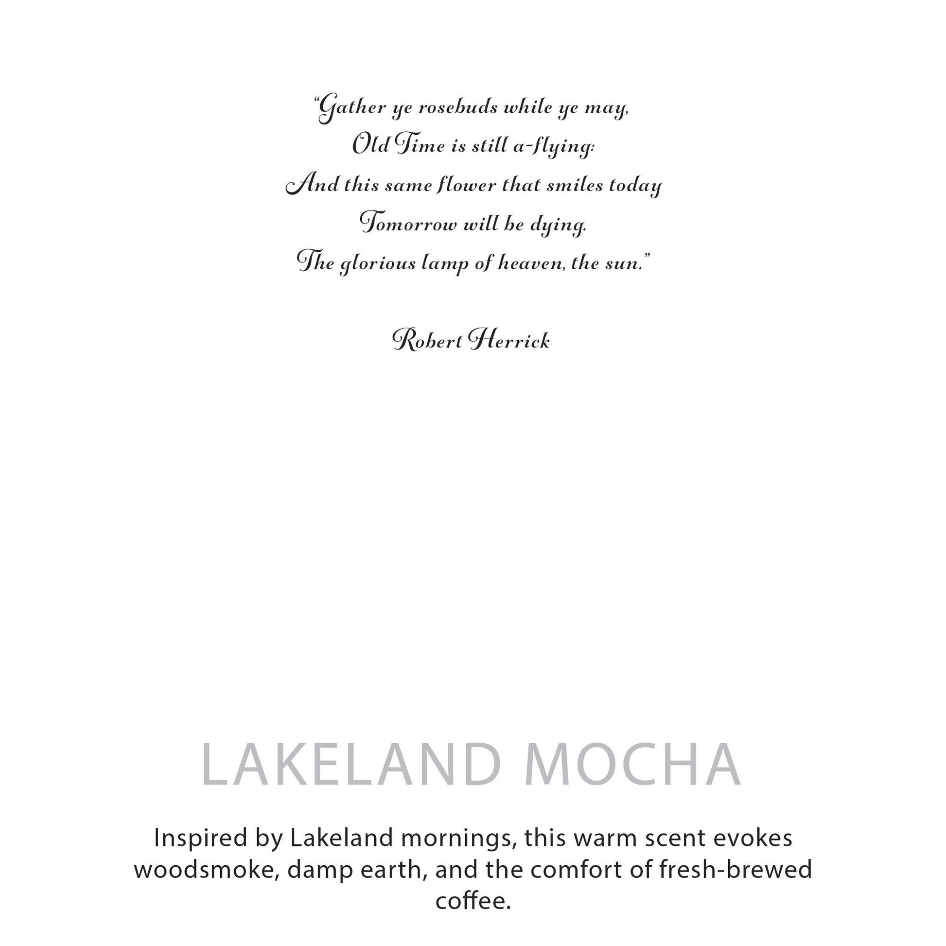 Detailed close up view highlighting the high quality craftsmanship and individual features of the agnes cat botanical soy wax candle lakeland mocha571