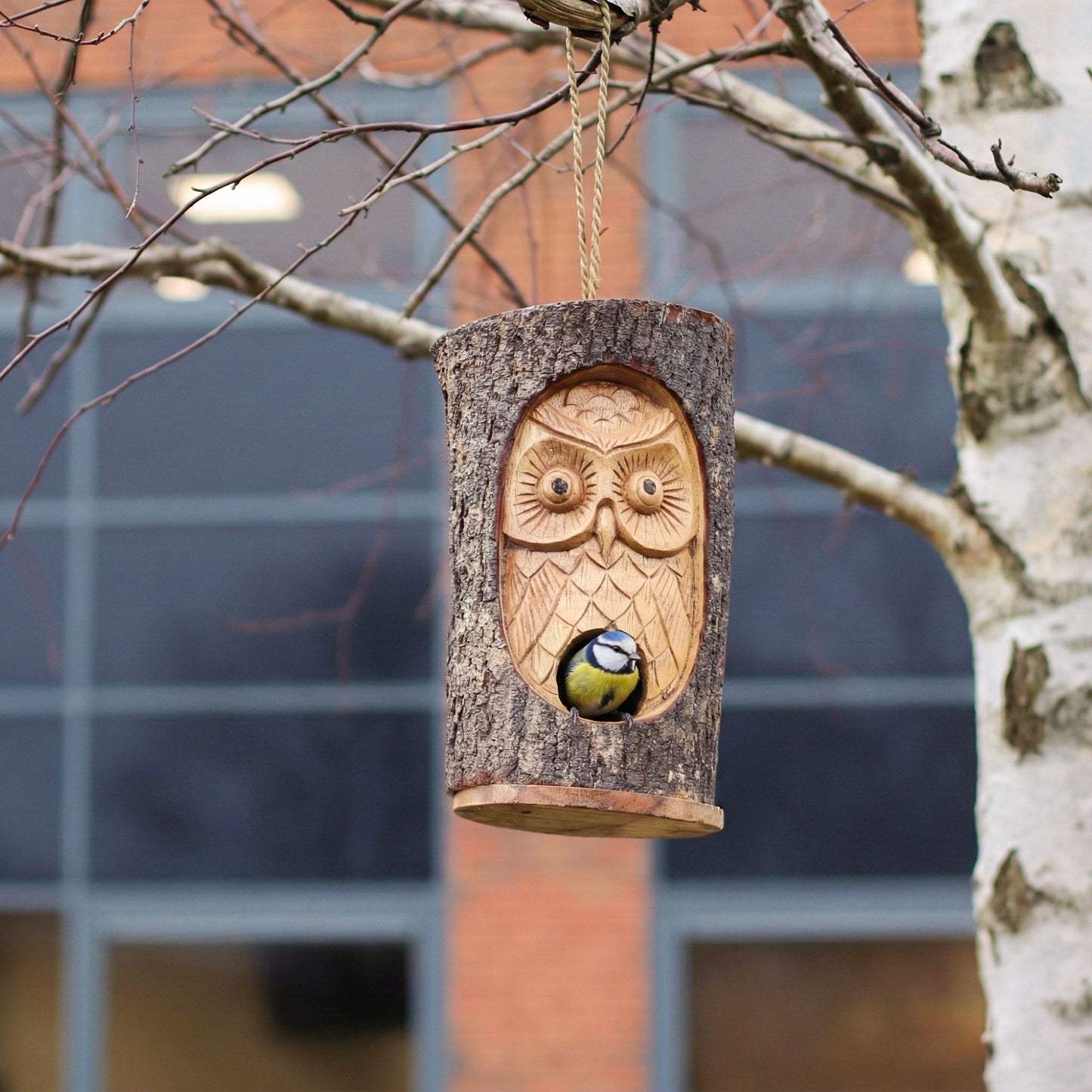 Tree Trunk Face - Bird House - Wise Owl from our luxury seagrass bird houses collection
