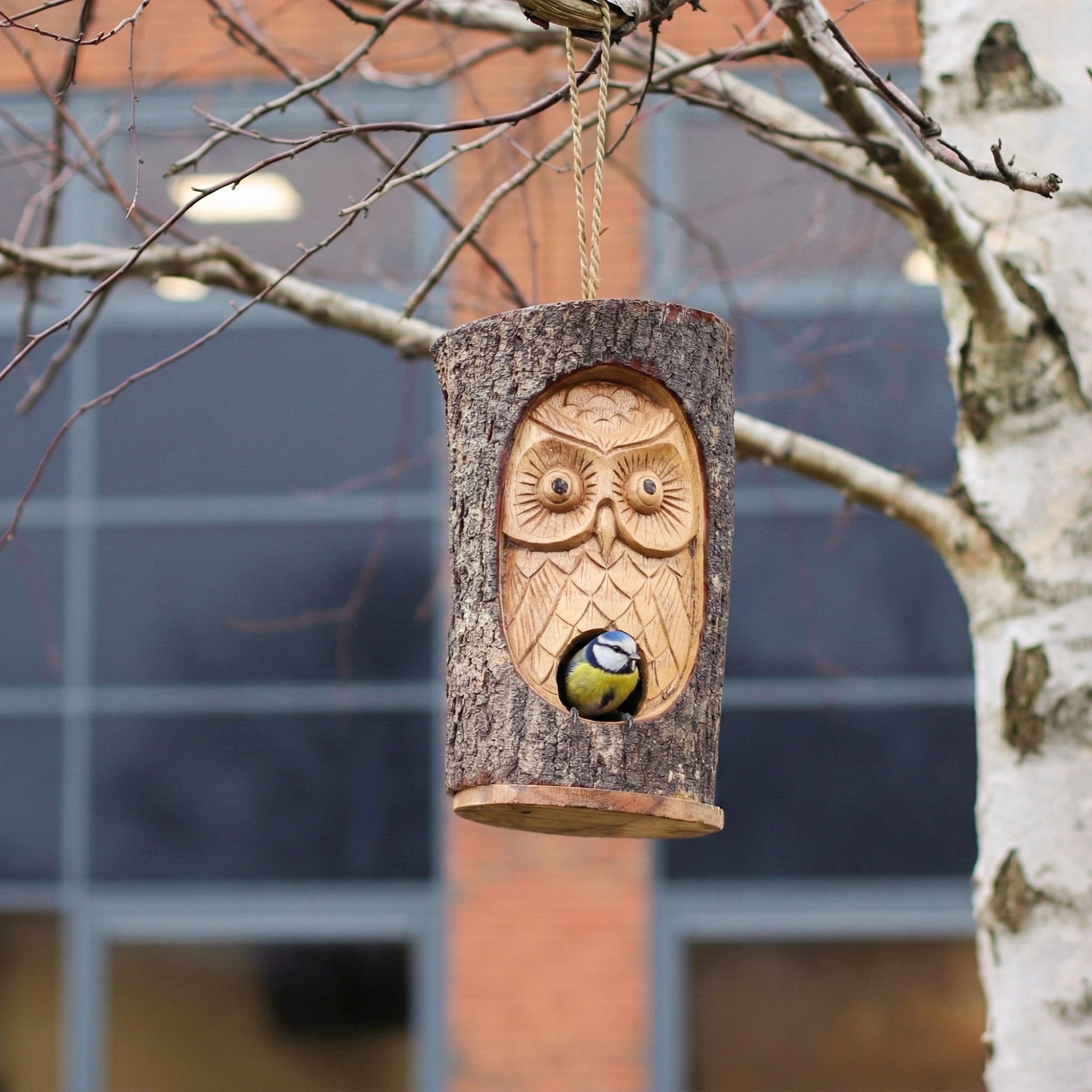 Tree Trunk Face - Bird House - Wise Owl from our luxury seagrass bird houses collection