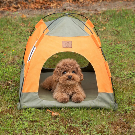 PAW Covered Pet Tent Bed – Green & Orange – 48 × 48 × 40cmcm