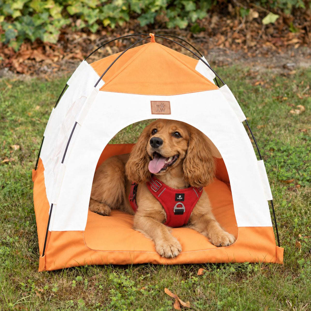 PAW Covered Pet Tent Bed – Beige & Orange – 58 × 58 × 48cmcm