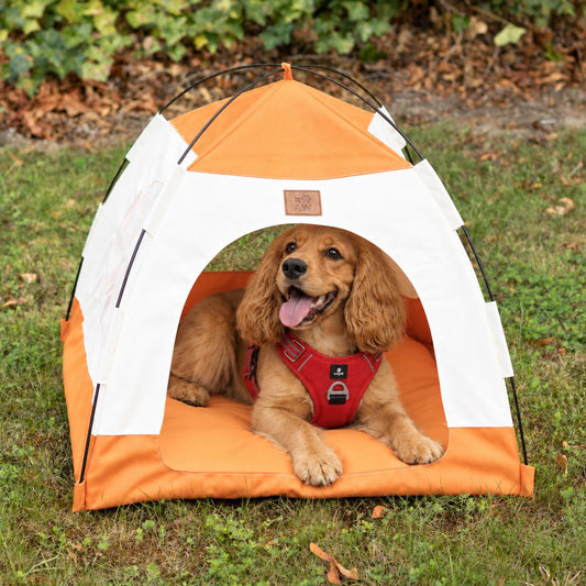 PAW Covered Pet Tent Bed – Beige & Orange – 58 × 58 × 48cmcm