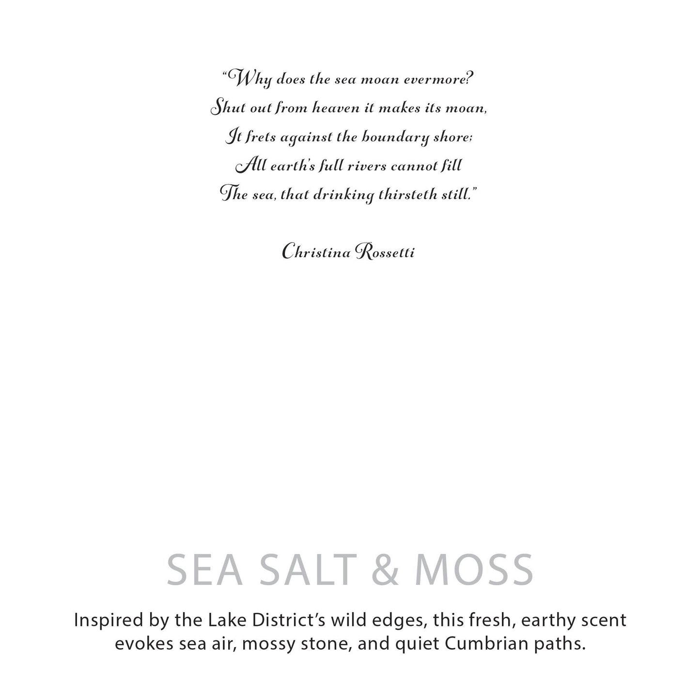 Detailed close up view highlighting the high quality craftsmanship and individual features of the agnes cat botanical soy wax candle seasalt moss559