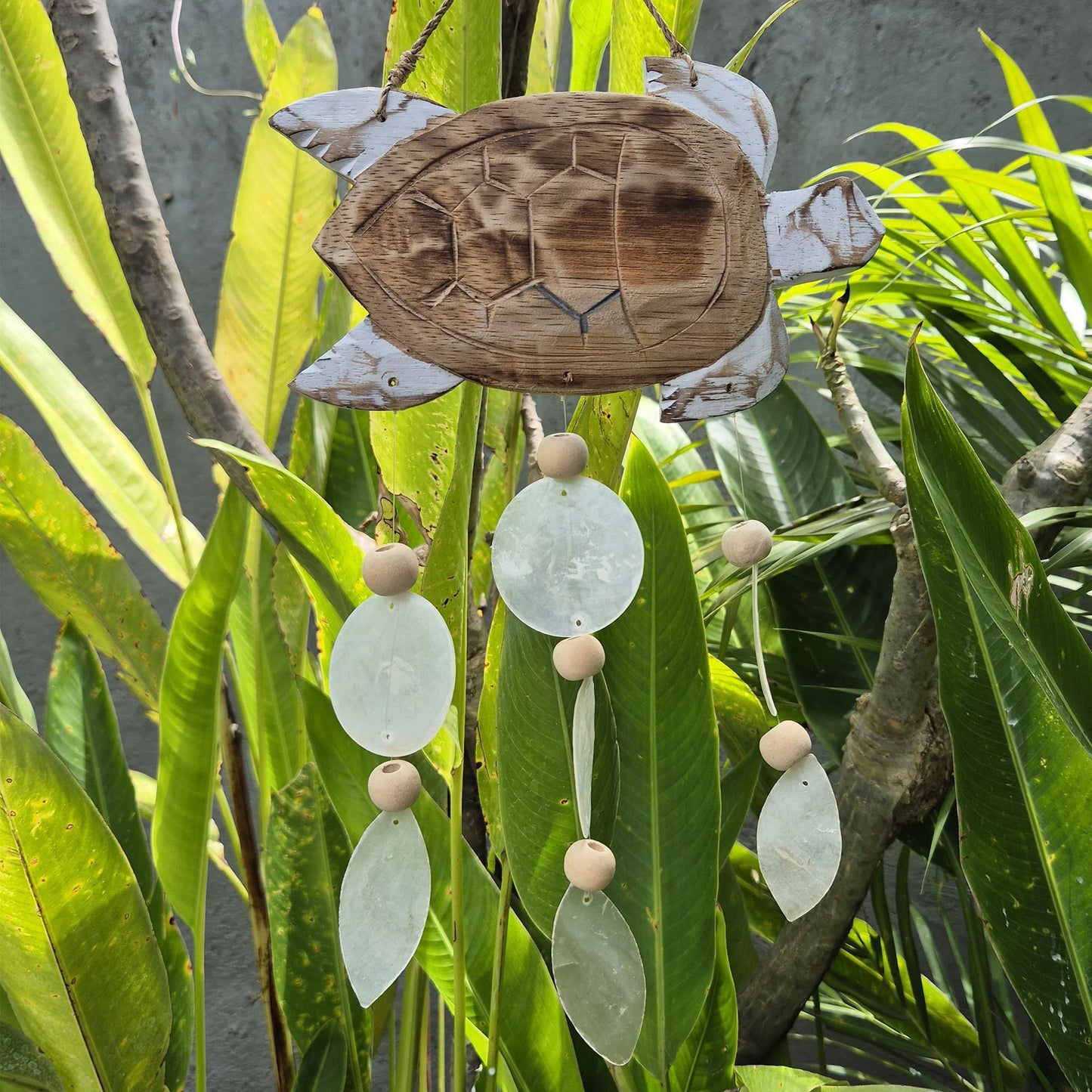 Whitewash Turtle Carving and Natural Copis Drop from our luxury driftwood chime collection