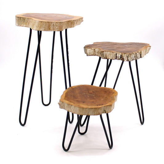 Set of 3 Gamal Wood Plant Stands - Whitewash lifestyle product photo on neutral background