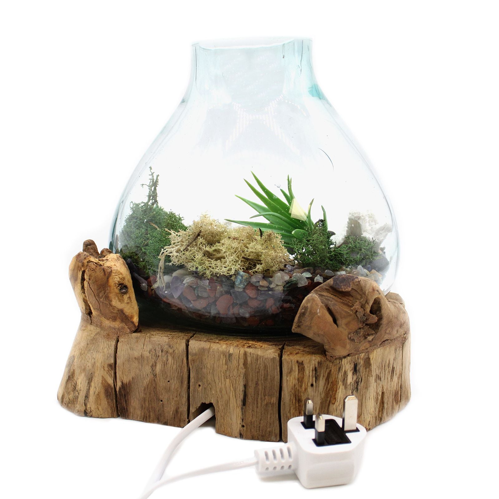 Photo 7 of Molten Glass Large Fish Tank 3.7 Litre Luxury Decor featuring authentic premium craftsmanship.