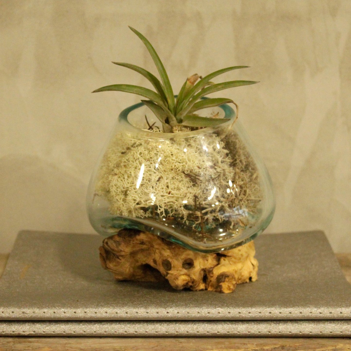 Photo 4 of Molten Glass On Wood - Small Bowl Luxury Decor Premium Editi featuring authentic premium craftsmanship.