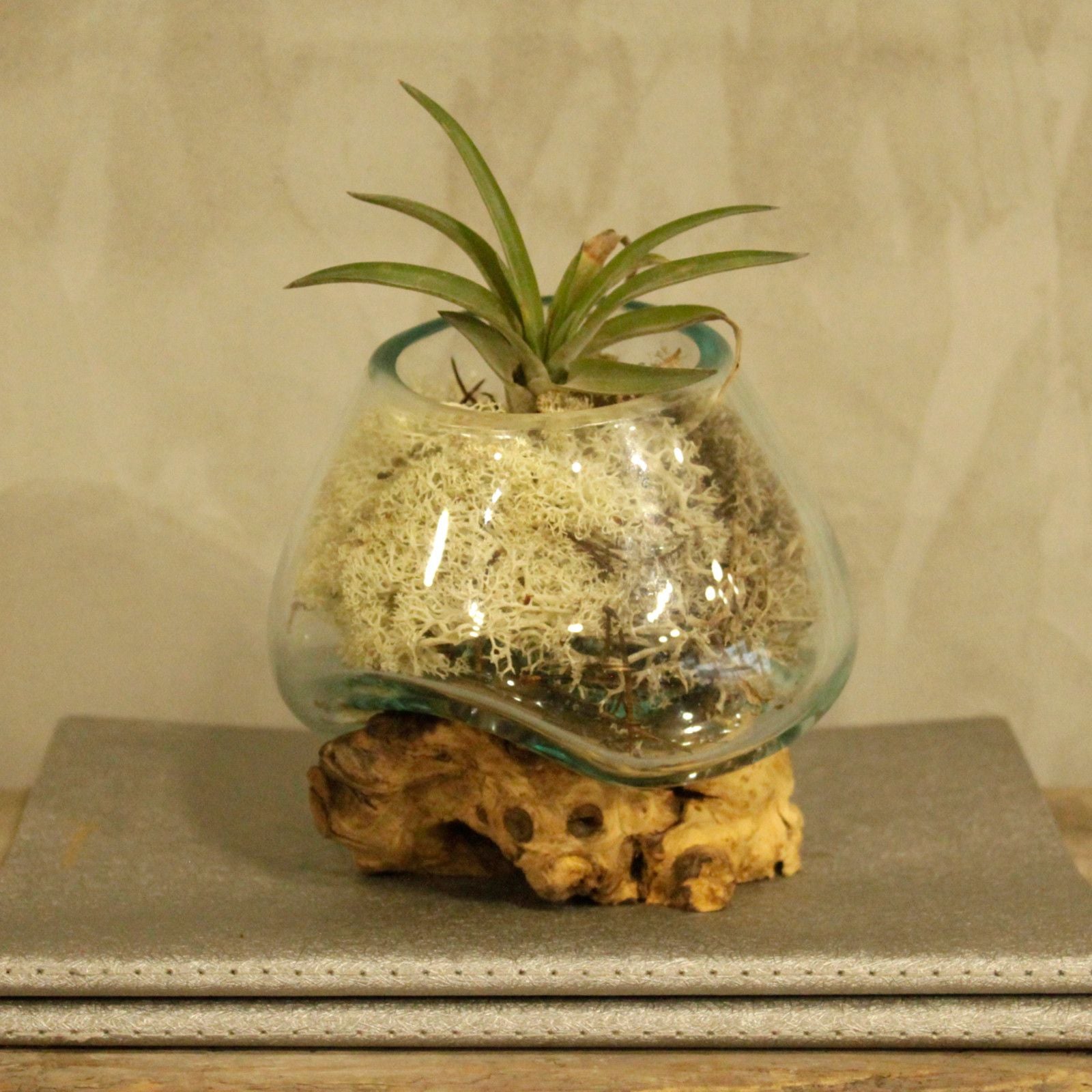 Photo 4 of Molten Glass On Wood - Small Bowl Luxury Decor Premium Editi featuring authentic premium craftsmanship.