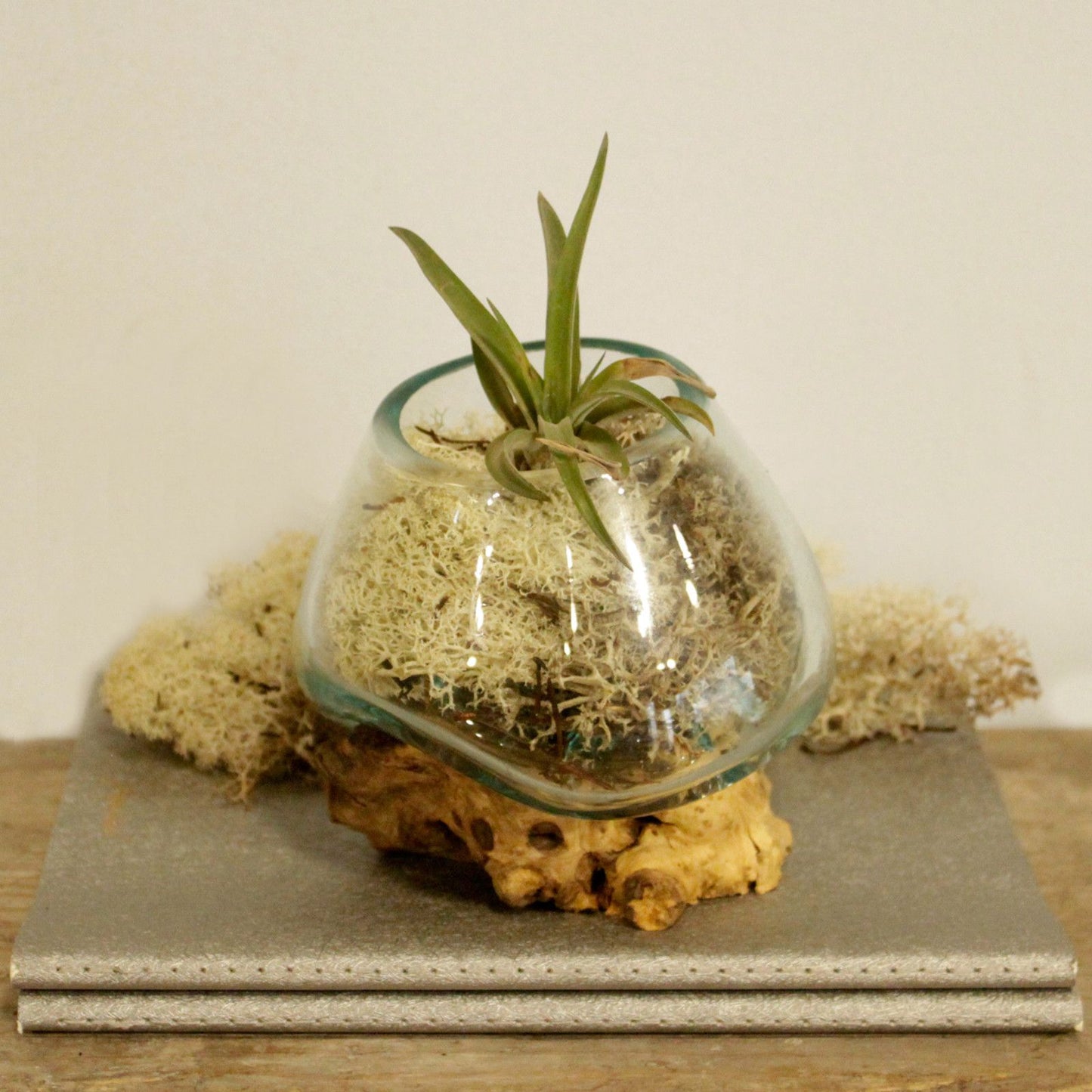 Photo 6 of Molten Glass On Wood - Small Bowl Luxury Decor Premium Editi featuring authentic premium craftsmanship.