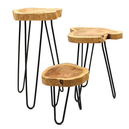 Set of 3 Gamal Wood Plant Stands - Natural lifestyle product photo on neutral background