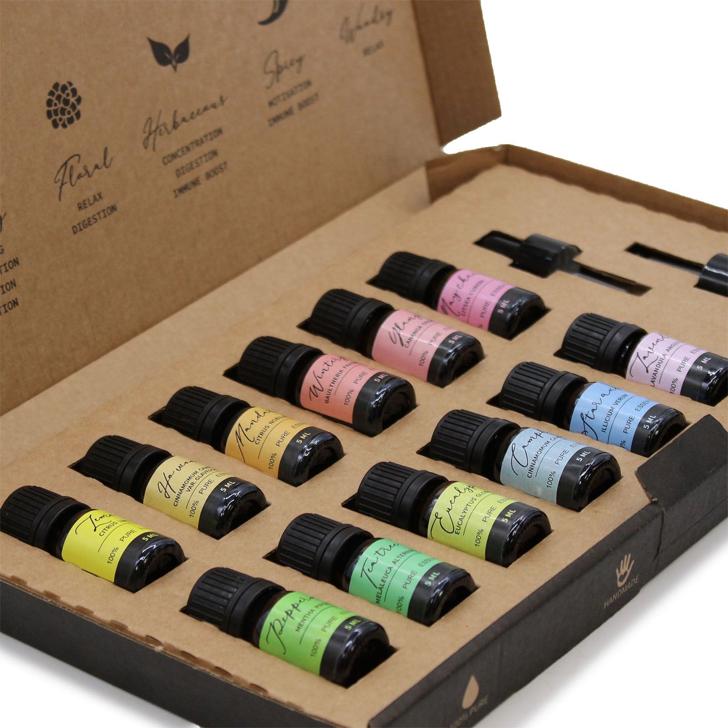 Aromatherapy Essential Oil Set - Starter Pack lifestyle product photo on neutral background