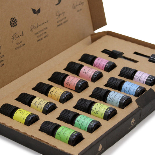 Aromatherapy Essential Oil Set - Starter Pack lifestyle product photo on neutral background