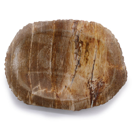 Petrified Wood Brown Soap Dish from our luxury stone soap dishes collection