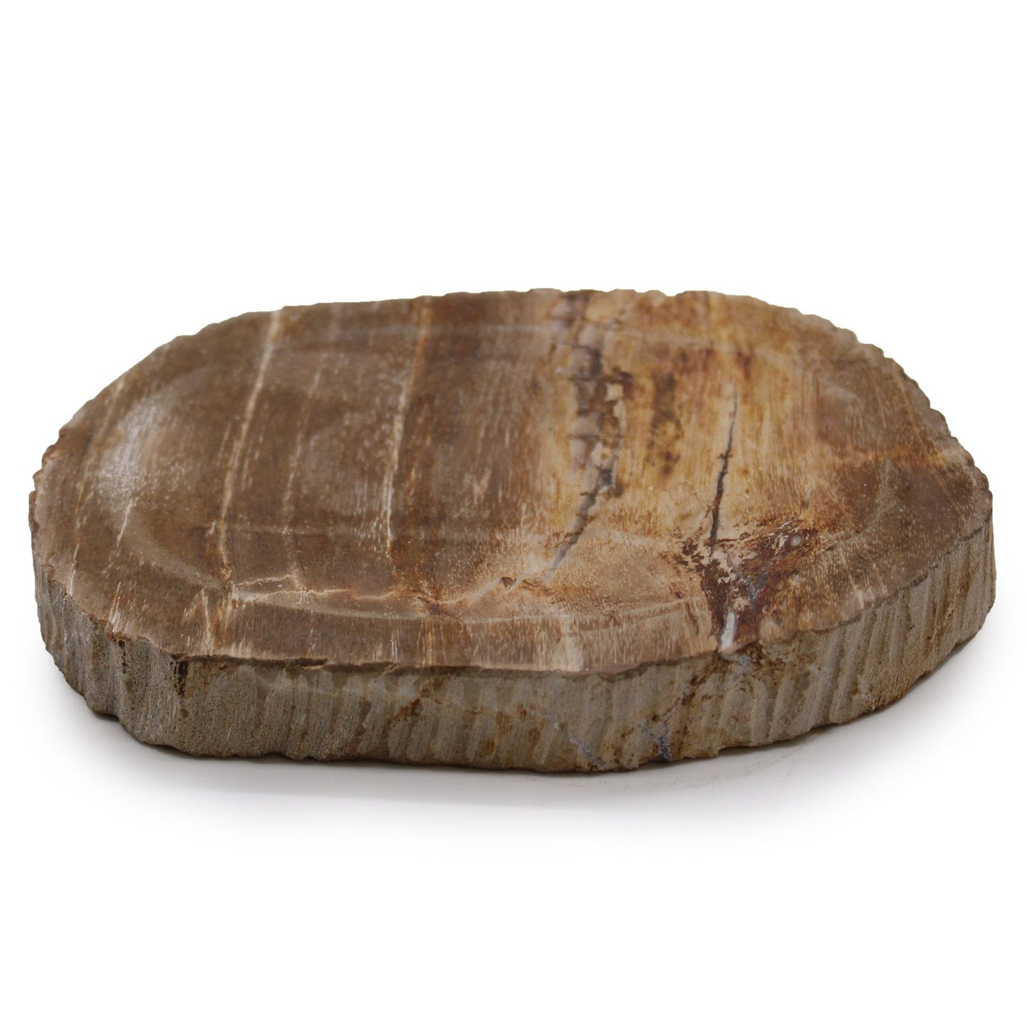 Petrified Wood Brown Soap Dish from our luxury stone soap dishes collection