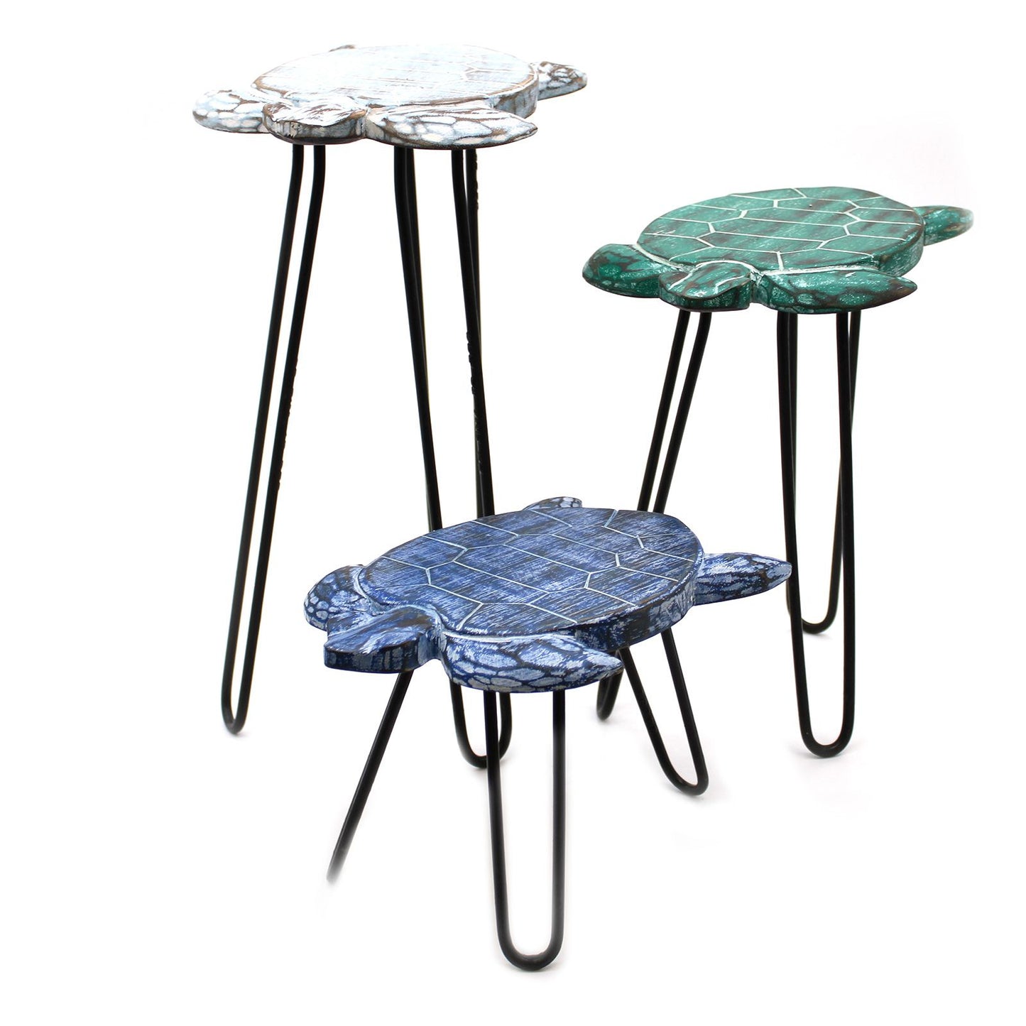 Set of 3 Albasia Wood Plant Stands - Turtles lifestyle product photo on neutral background