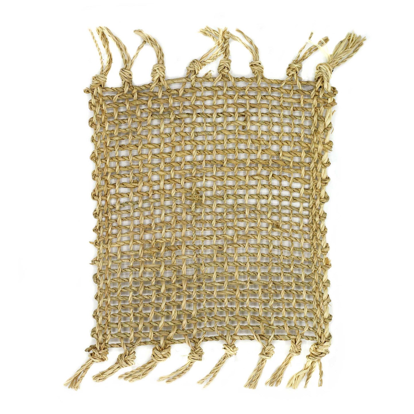 Set of 4 Seagrass Fringe Natural Coasters - Natural from our luxury java placemats and coasters collection