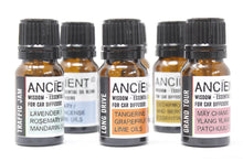 Load image into Gallery viewer, 10ml Aromatherapy Car Blend - Long Drive

