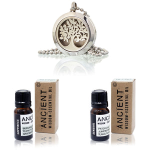 Diffuser Necklace and Essential Oil Blends Set