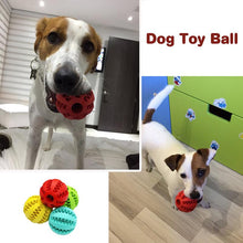 Laden Sie das Bild in den Galerie-Viewer, Dog  activity ball! Elastic and resistant
