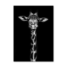 Load image into Gallery viewer, Black White Jungle photos - Giftexonline
