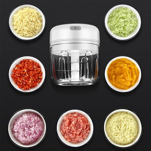 Electric Garlic Masher Press Mincer Vegetable Chili Meat Grinder Food Chopper 100/250ml