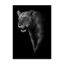 Load image into Gallery viewer, Black White Jungle photos - Giftexonline
